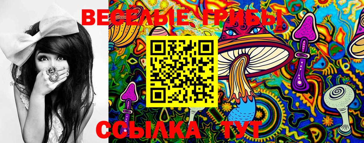 Псилоцибиновые грибы ЛСД  Вход с VPN  Галлюциногенные грибы MAGIC MUSHROOMS  Дмитров 
