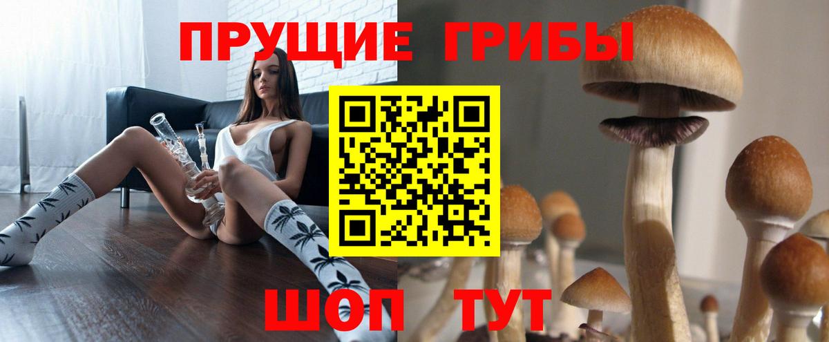 Галлюциногенные грибы GOLDEN TEACHER Дмитров